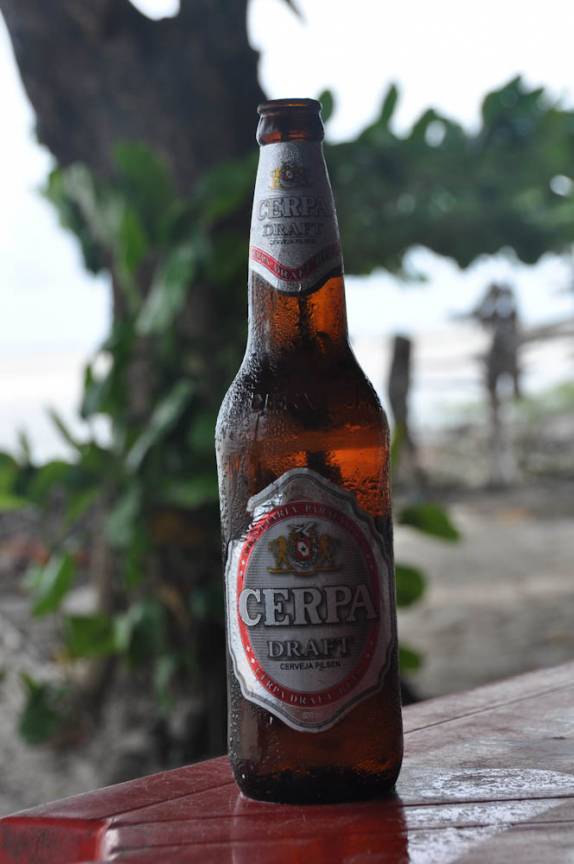 A Cerpa grandona. Essa, só se acha aqui, no Pará! (na região de Algodoal - PA)